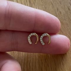 Stainless steel earrings