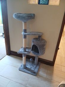 cat tree