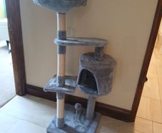 cat tree