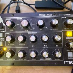 Moog Minitaur