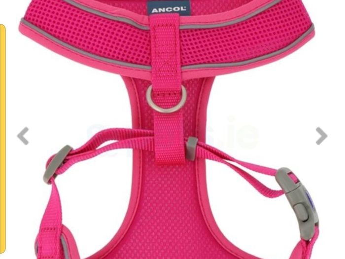 Ancol Viva mesh dog harness