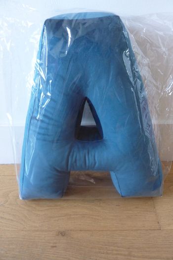 Velvet Letter cushion