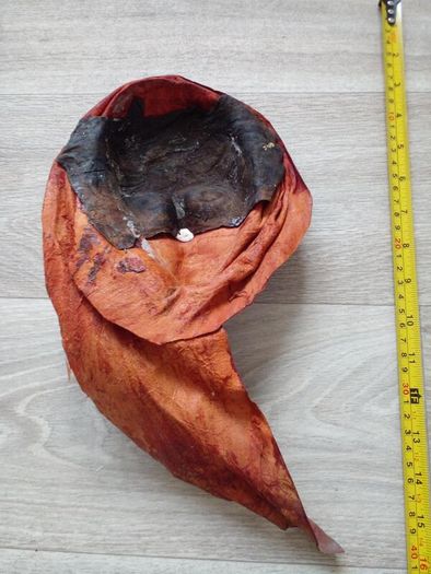 Vintage Rare Find Decorative Leather Mask.