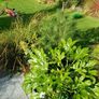 Soft landscaping services Image 6