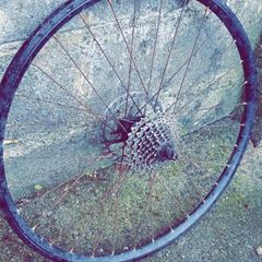 Disk brake wheel