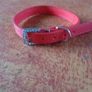Red Pet Collar with Diamante Stones for Sale Image 2