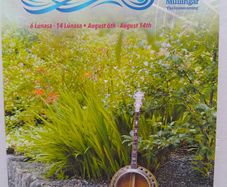 Fleadh Programmes
