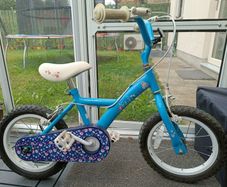 Apollo Petal 14" Kids Bike