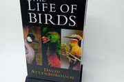The Life Of Birds Boxset Vhs - 3 X Tapes Very Rare David Attenborough