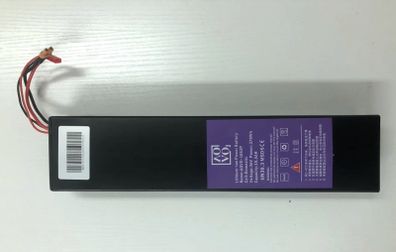 electric scooter batteries
