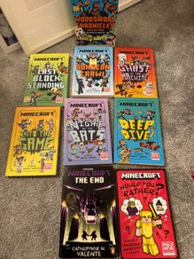 minecraft books set