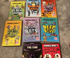 minecraft books set