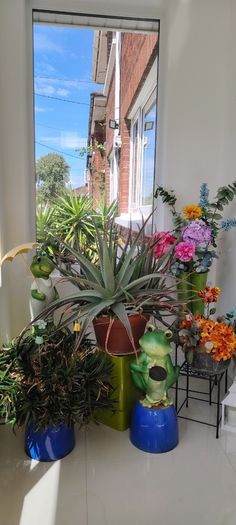 Plants and decorations