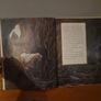 King of Ireland's Son (Hardcover) Image 4