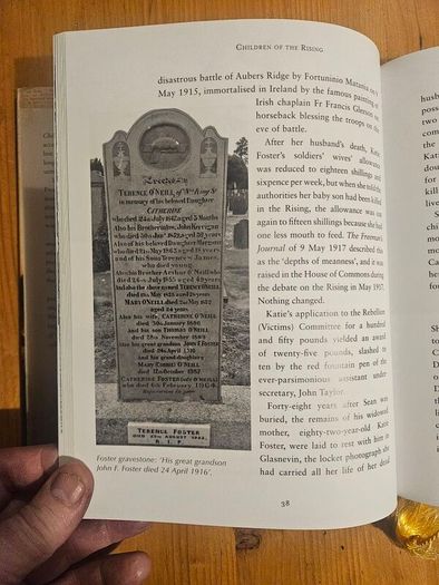 Children Of The Rising. The Untold Story Of The Young Lives Lost During Easter Rising  1916. By Joe Duffy. First Edition Large Volume Hardback With Dustjacket In Good Condition.  See Photos For Same.