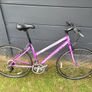Ventura Adult Bike Image 2