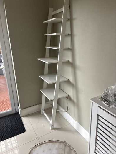 Ladder shelf