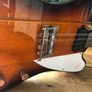 Rare Epiphone  VIII Mandobird ! (8 string mandolin) Image 3