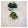 Phoenix moss gigantus 30ml Image 3
