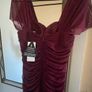 Rare London Dress Image 4