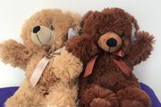 Plush Bears