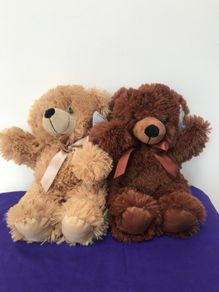 Plush Bears
