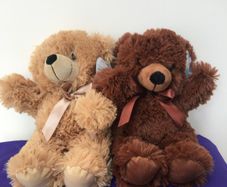 Plush Bears