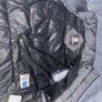 Canada goose Image 4