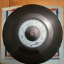 Dana Fairytale 7 inch Single 1976 GTO Records Image 2