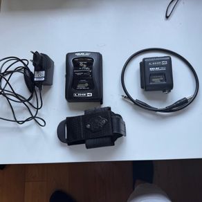 line6 relay G30 wireless system