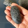 Natural coral fossil stones Image 6