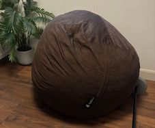 bean bag