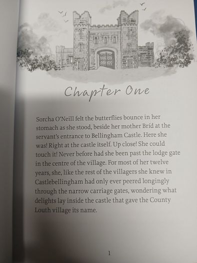 Sorcha, Queen of the Castle - Nicola Cassidy