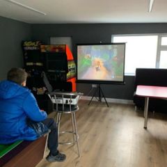 Projector and screen