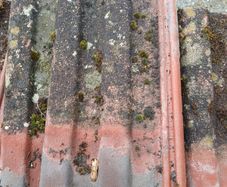 roof tiles