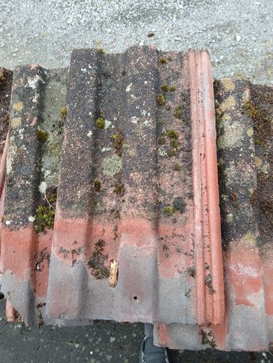 roof tiles