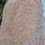 Beige Fuzzy Chenille with Gold Iridescent Sequins Jumper Image 9