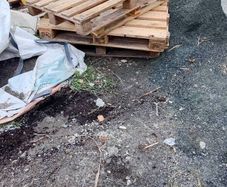 Free Fire wood