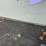 gym e Image 6