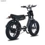 AKEZ ZX Electric Bike Image 6