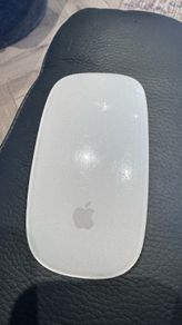 Apple mouse