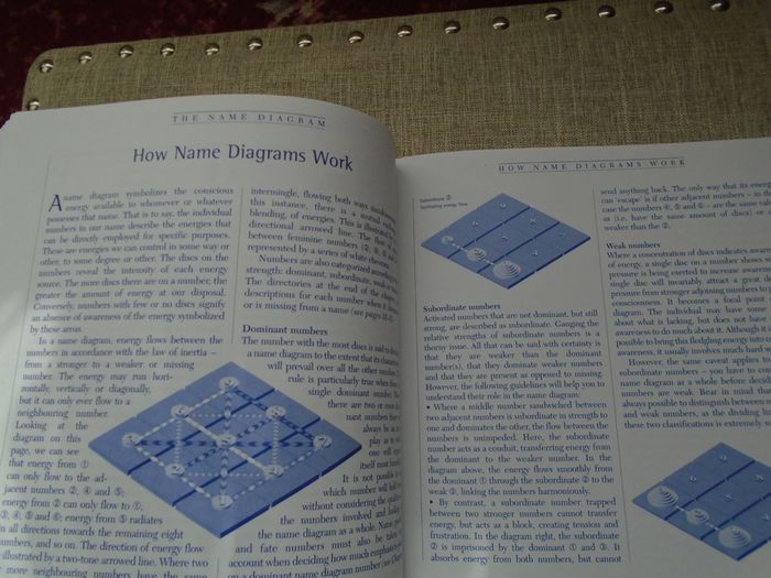 The Instant Numerologist,Book of Interpretation, Paperback book,Non fiction