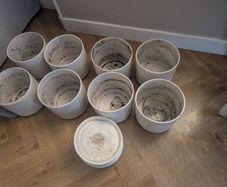 ceramic flower pots with plates x 8