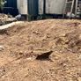 Instant Garden Upgrades, Walls, Edging, Decorative Image 6