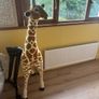 giraffe teddy Image 2