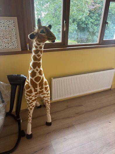 giraffe teddy