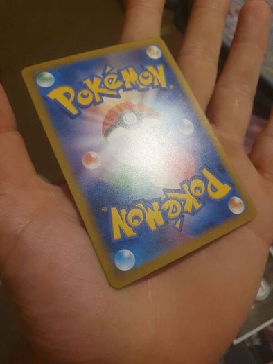 pokemon raikou