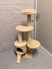 cat tower