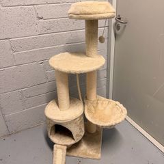 cat tower