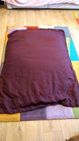 Large Beanbag, washable